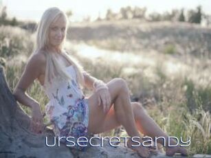 Ursecretsandy