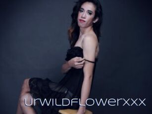 Urwildflowerxxx