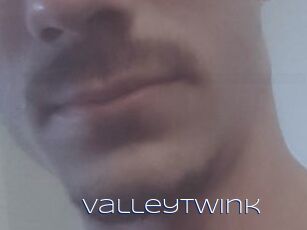 ValleyTwink