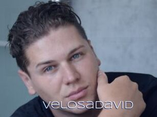 VelosaDavid