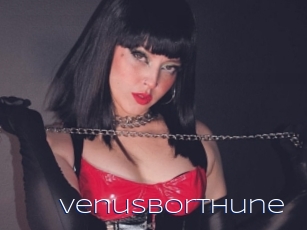 VenusBorthune
