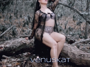 VenusKat