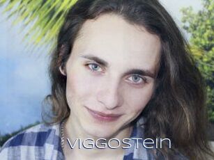 ViggoStein