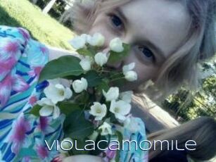 ViolaCamomile