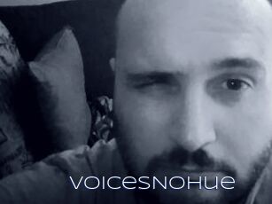 VoicesNoHue