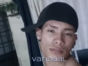 Vandaal