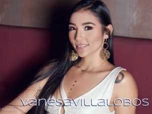 Vanesavillalobos
