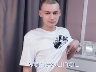 Vaneslinel