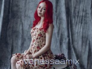 Vanessaamix