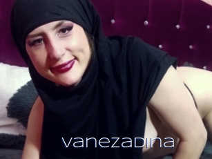 Vanezadina