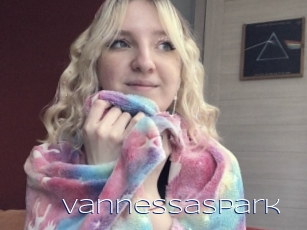 Vannessaspark