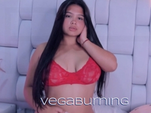 Vegaburning