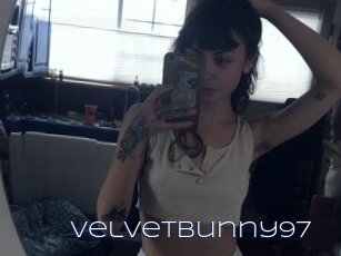 Velvetbunny97