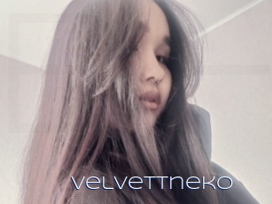 Velvettneko