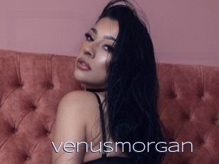 Venusmorgan