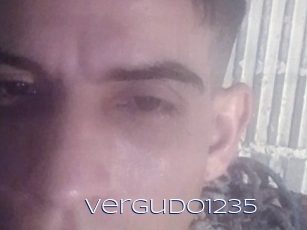Vergudo1235