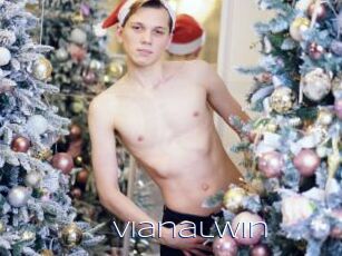 Vianalwin