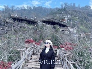 Vicion