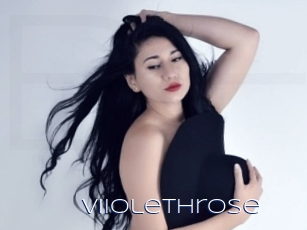 Viiolethrose