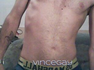 Vincegay