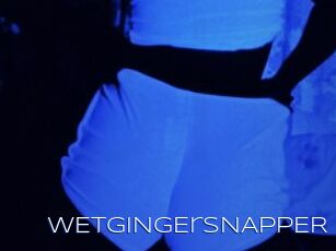 WETGiNgErSNAPPER