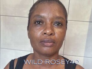 WILD_ROSEY40