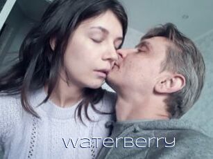 WaterBerry