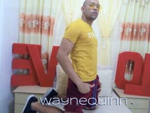WayneQuinn
