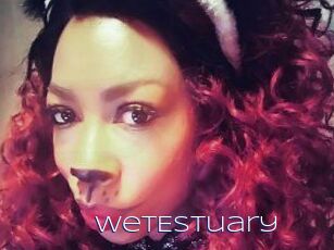 WetEstuary