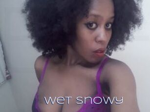 Wet_Snowy