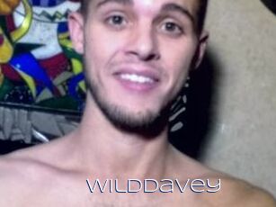 WildDavey