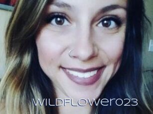 WildFlower023