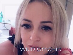 Wild_Orrchid