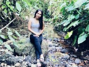 Wild_Rose18