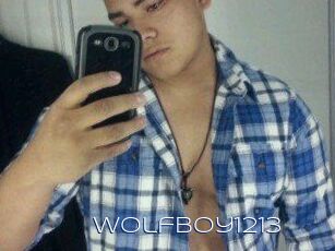 Wolfboy1213