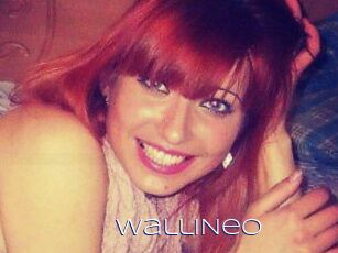 WalliNeo