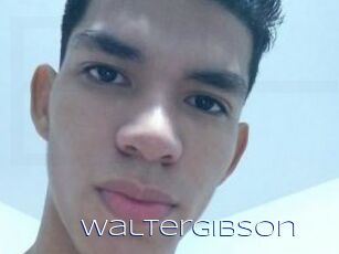 Waltergibson