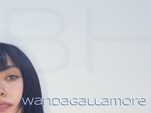 Wandagallamore
