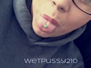 Wetpussy210