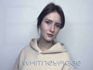 Whitneyfigge