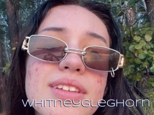 whitneygleghorn Blue Hot
