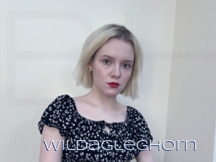 Wildagleghorn