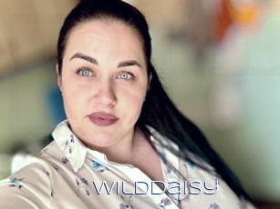Wilddaisy