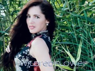 Wildredflower