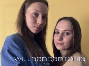 Willaandantonia