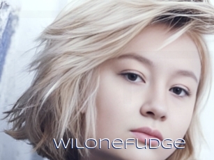 Wilonefudge