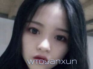 Wtdyanxun