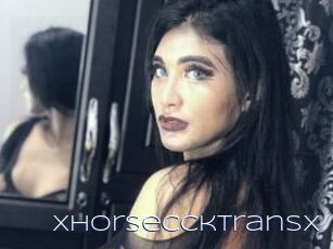 Xhorseccktransx