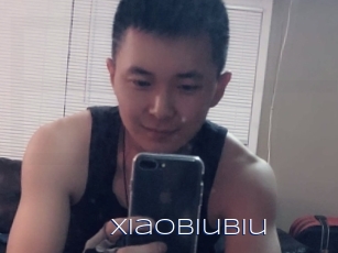 Xiaobiubiu