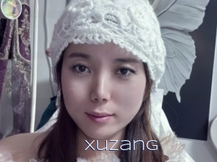 Xuzang